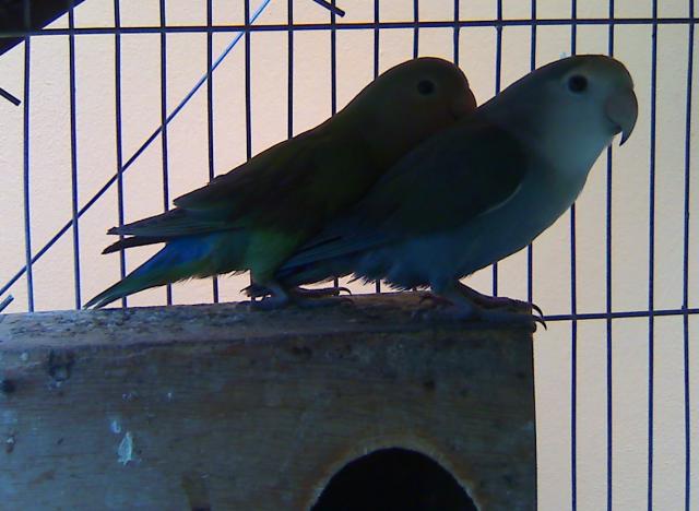 Otra fotico de ellos doooooossssssssss